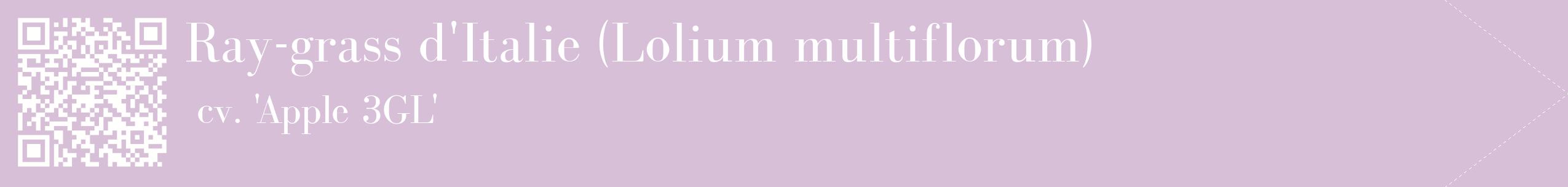 étiquette 2