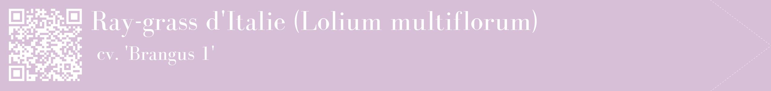 étiquette 2