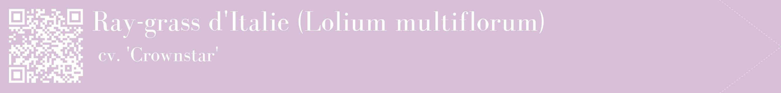 étiquette 2