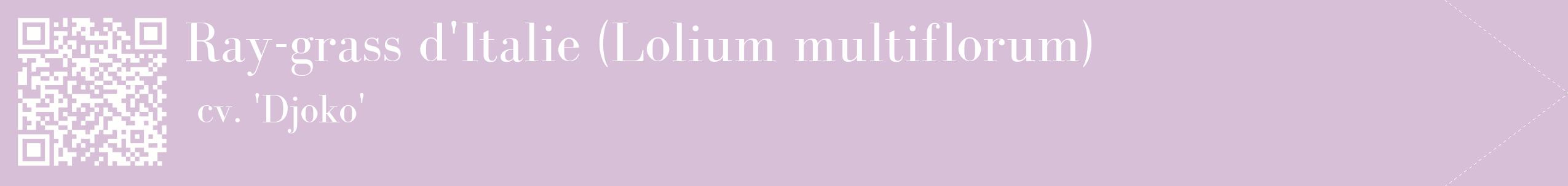 étiquette 2