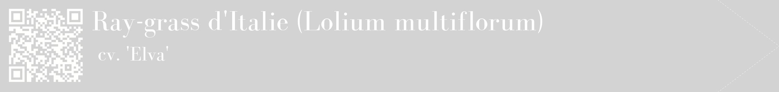 étiquette 2