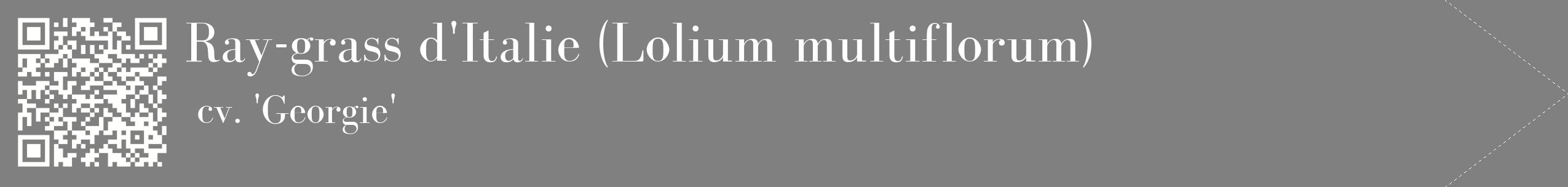 étiquette 2