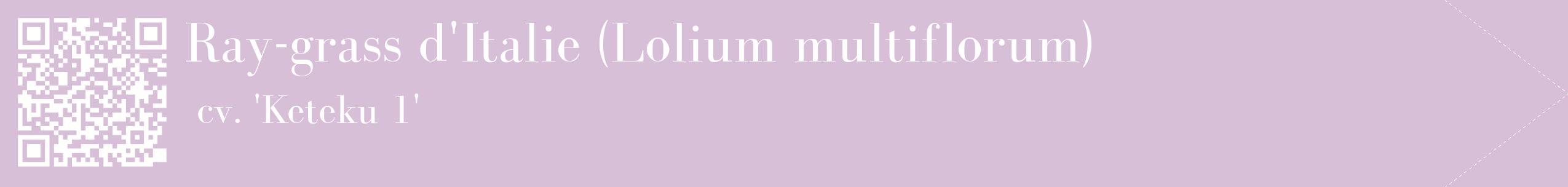 étiquette 2