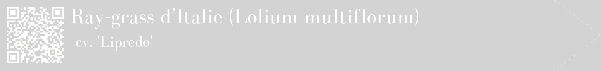 étiquette 2