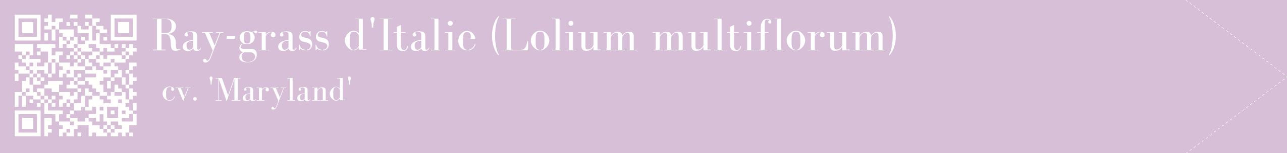 étiquette 2