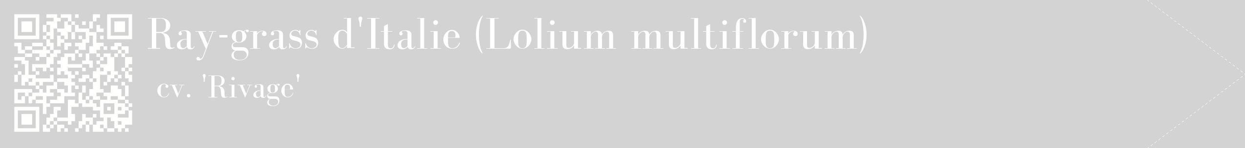 étiquette 2