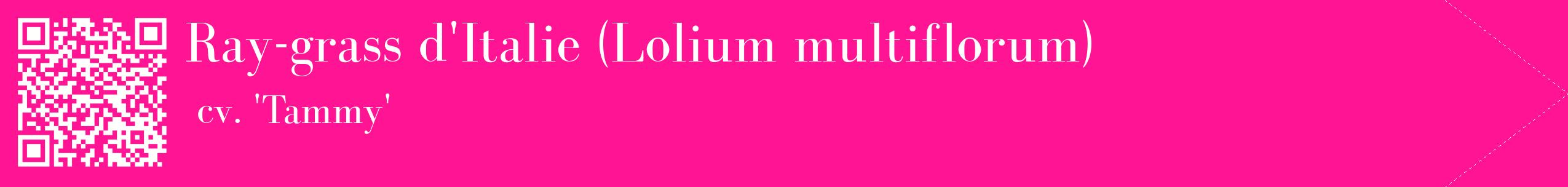 étiquette 2