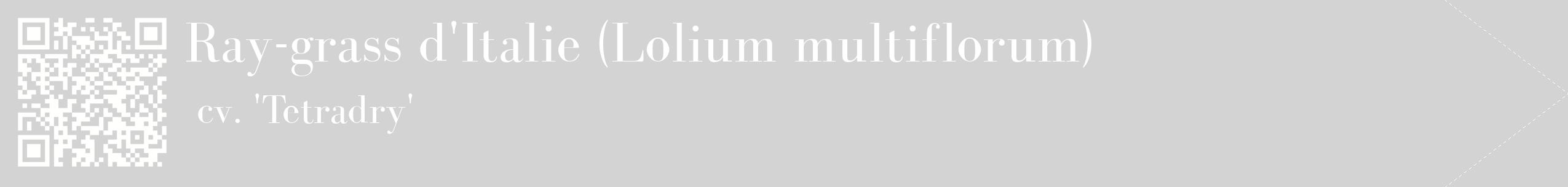étiquette 2
