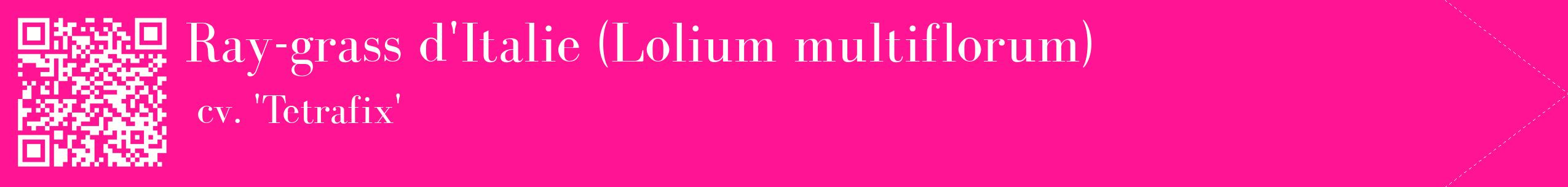 étiquette 2