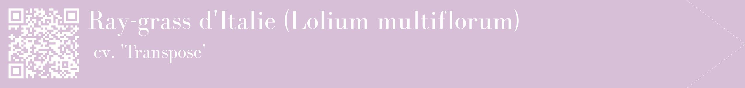 étiquette 2