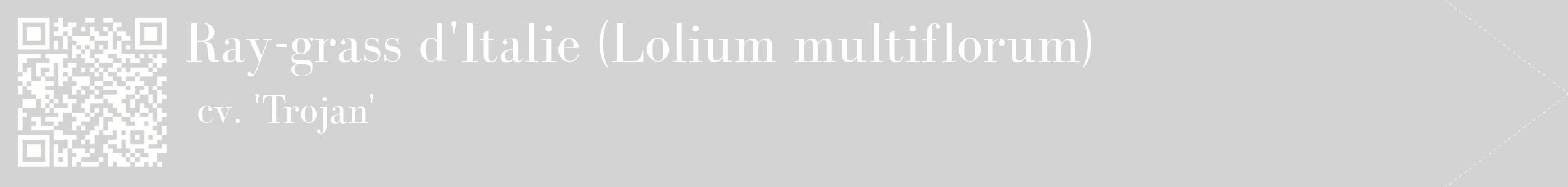 étiquette 2