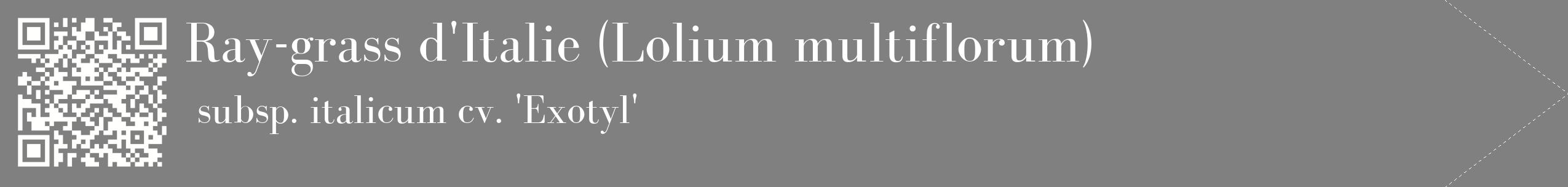 étiquette 2