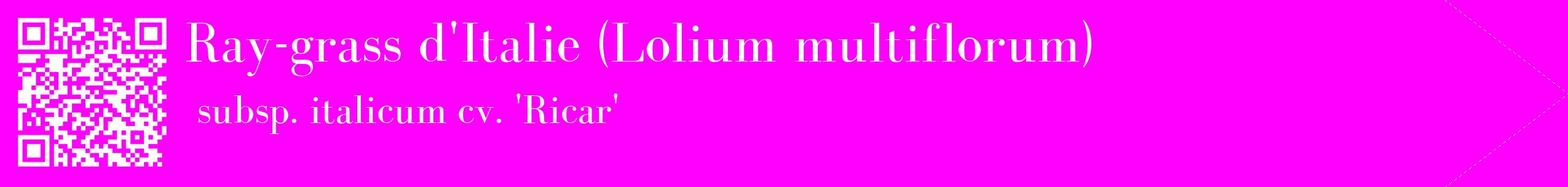 étiquette 2