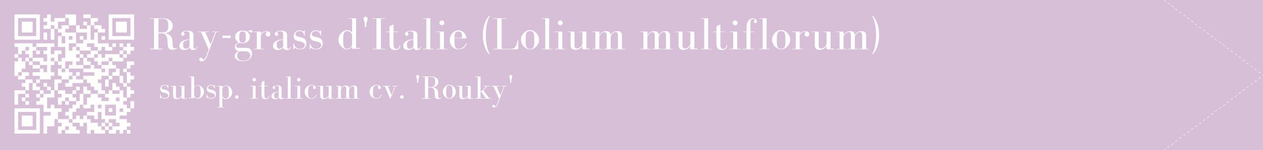 étiquette 2