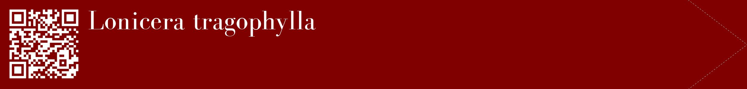 étiquette 2