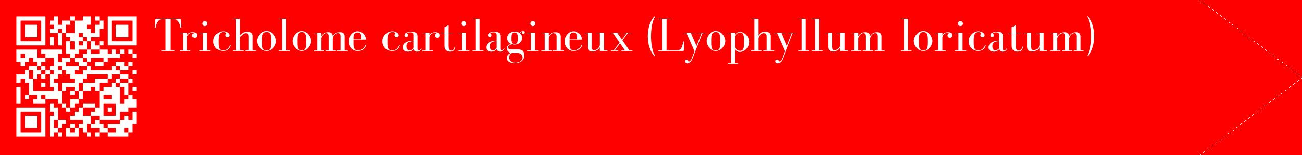 étiquette 2