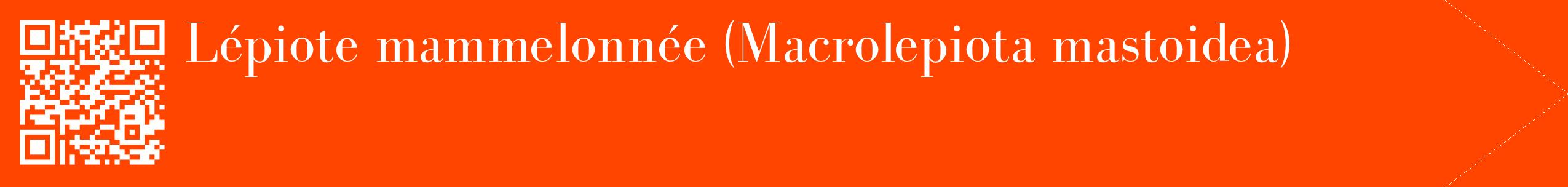 étiquette 2