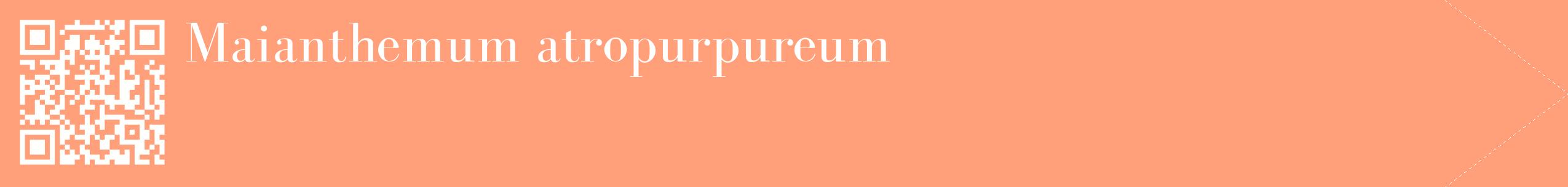 étiquette 2