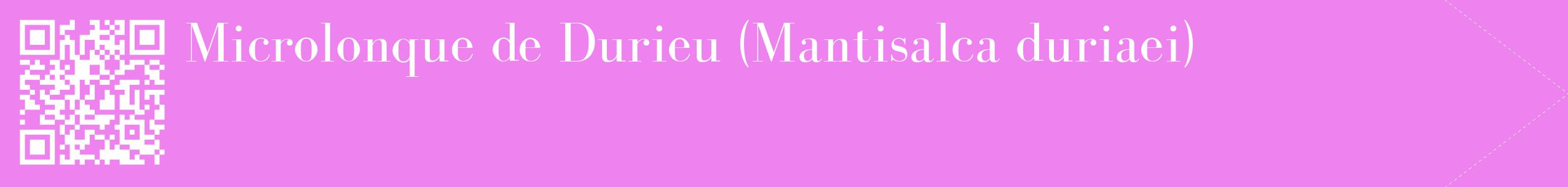étiquette 2