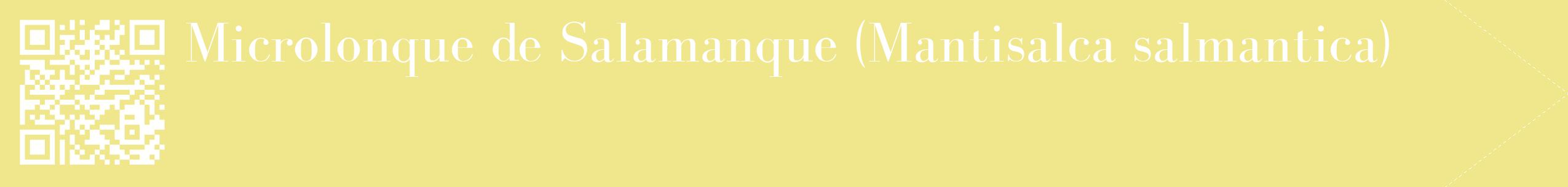 étiquette 2