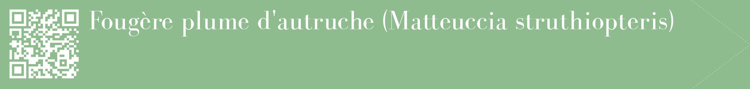 étiquette 2