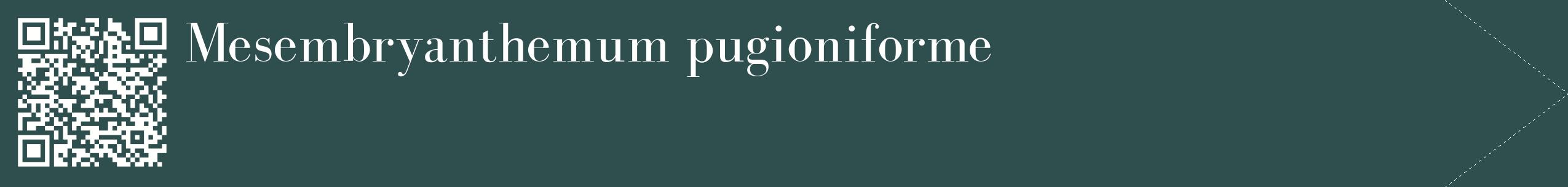 étiquette 2