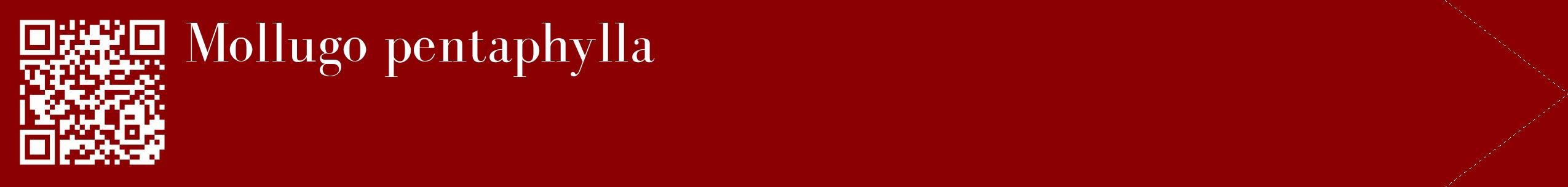 étiquette 2