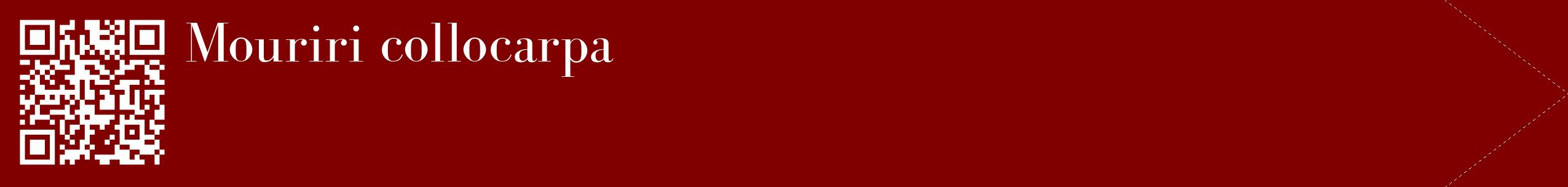étiquette 2
