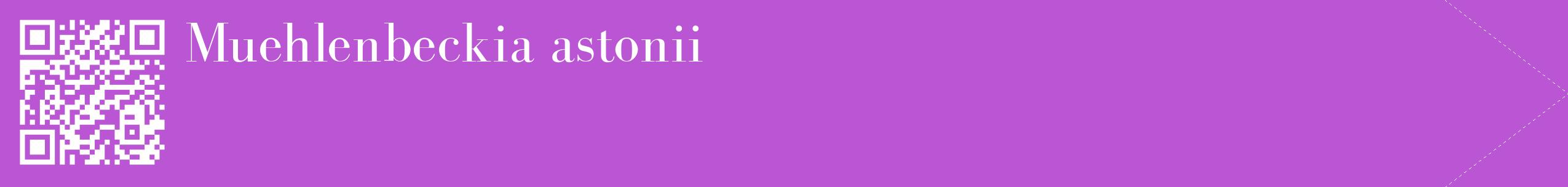 étiquette 2