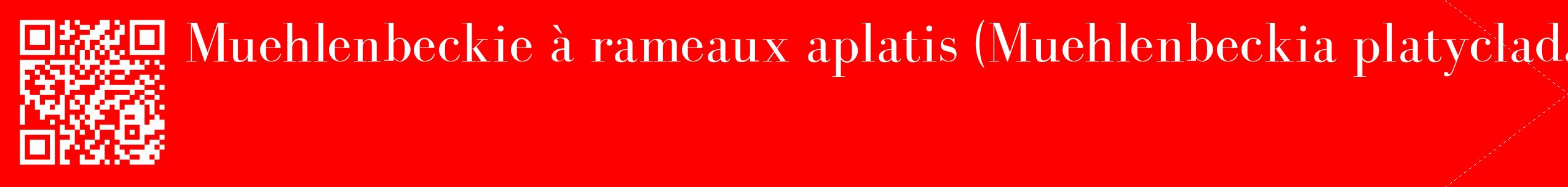 étiquette 2