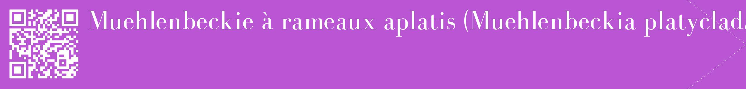 étiquette 2