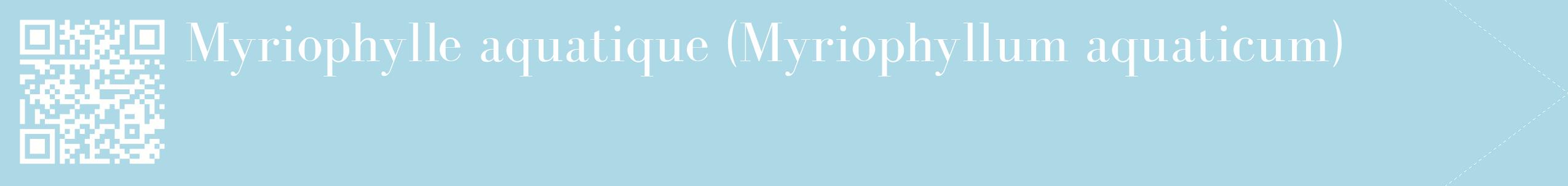 étiquette 2