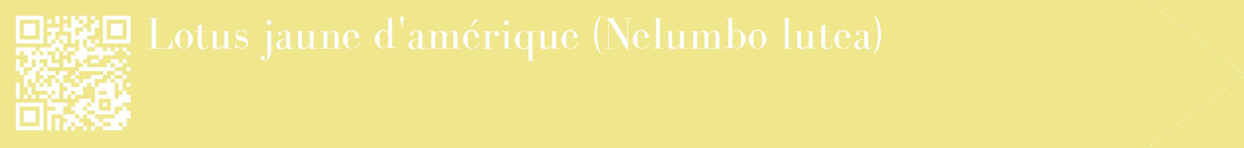 étiquette 2