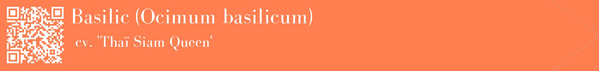 étiquette 2