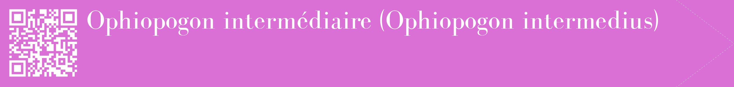 étiquette 2