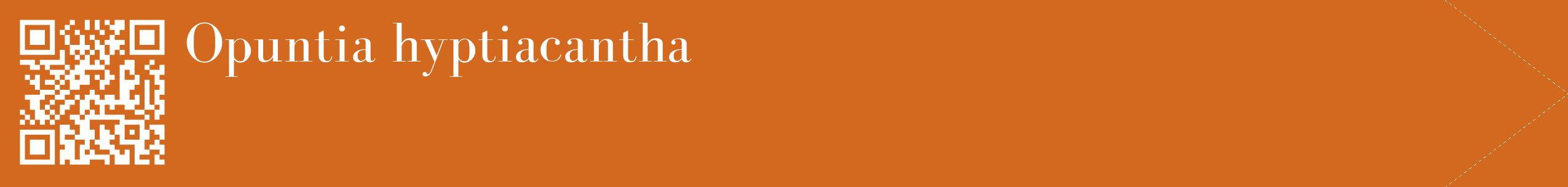 étiquette 2