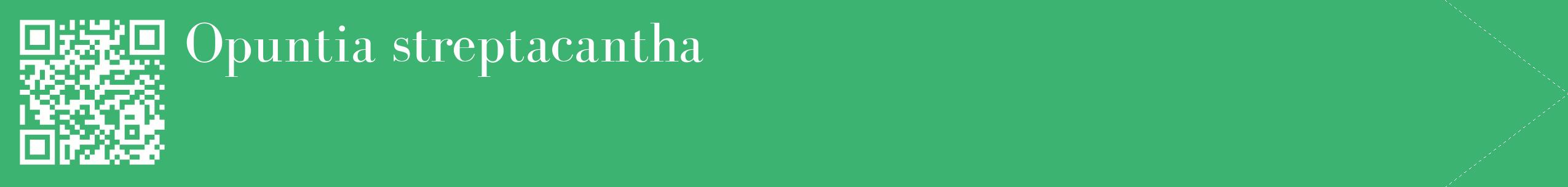 étiquette 2
