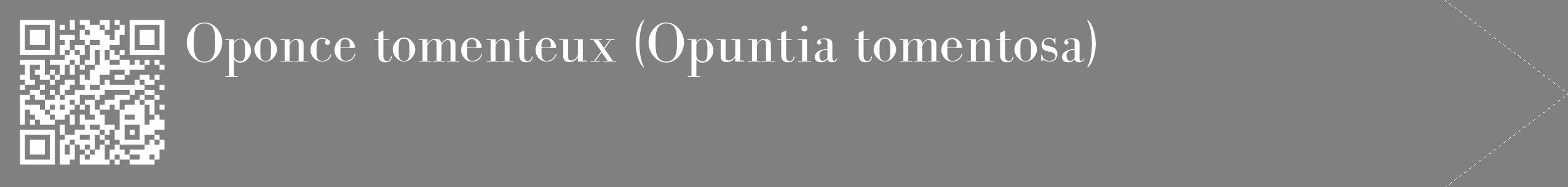 étiquette 2