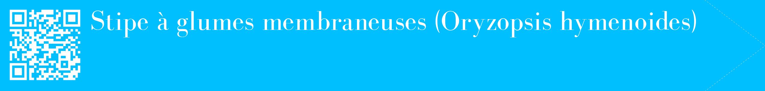 étiquette 2