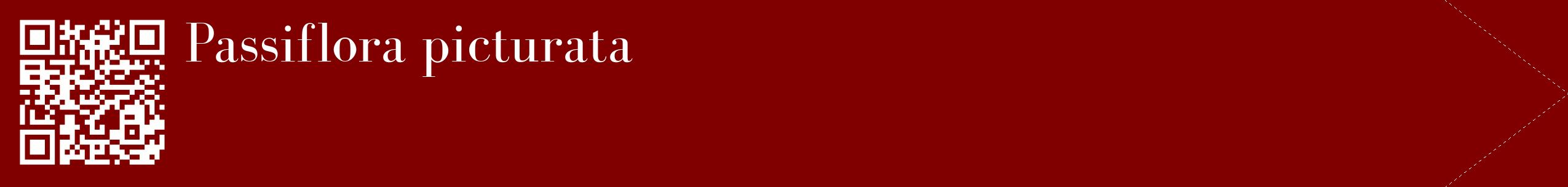 étiquette 2