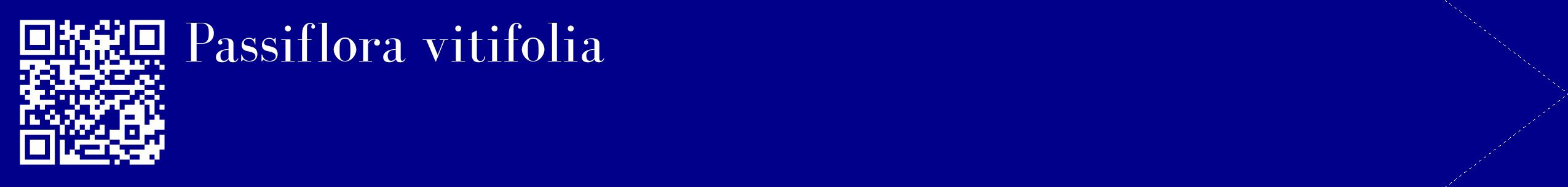 étiquette 2