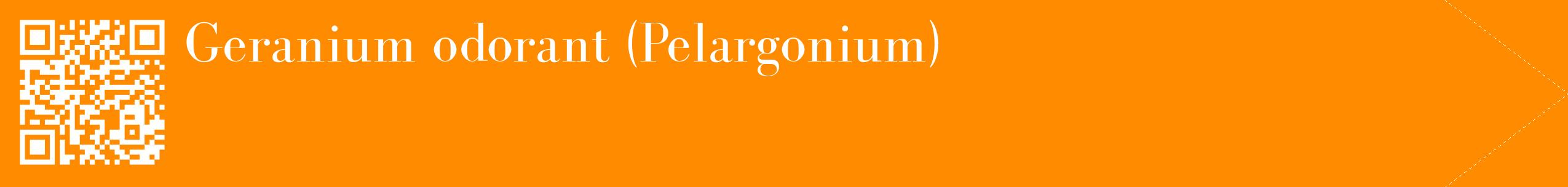 étiquette 2