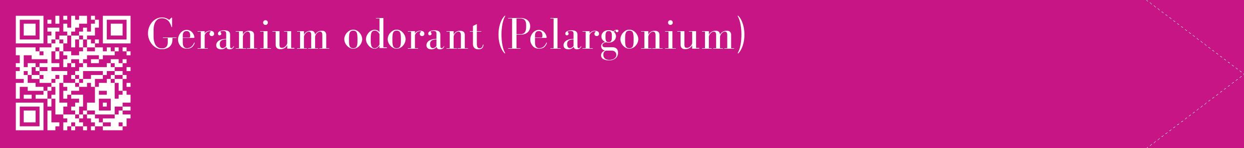 étiquette 2