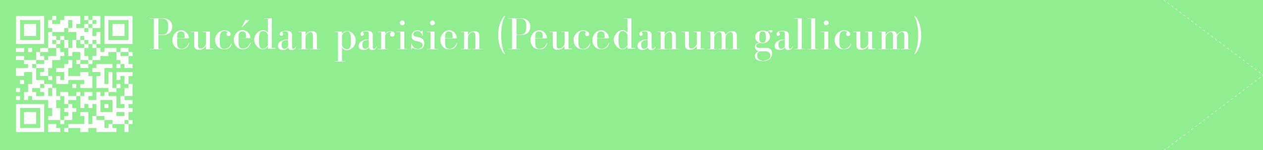 étiquette 2