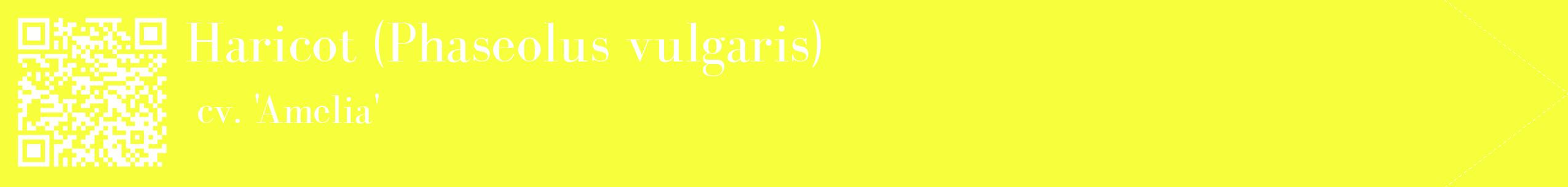 étiquette 2