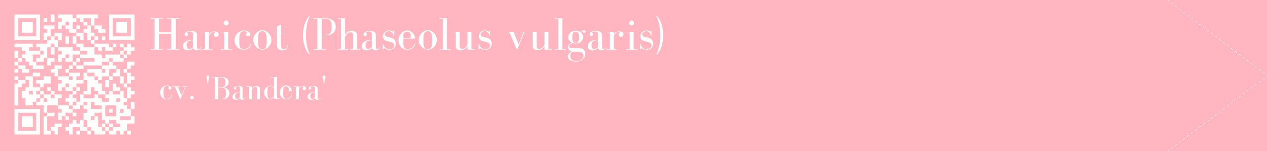 étiquette 2