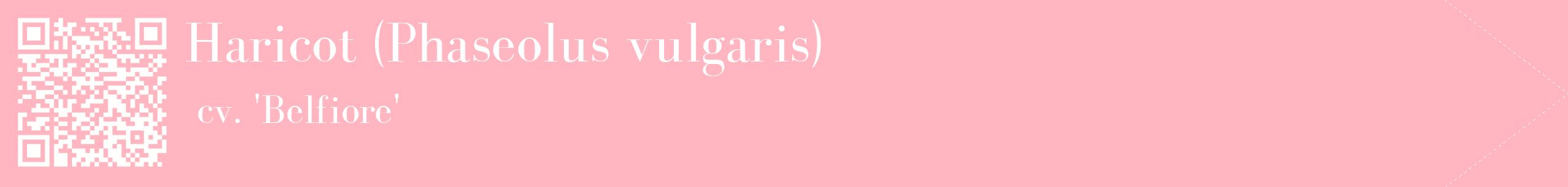 étiquette 2