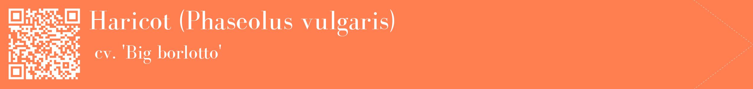 étiquette 2