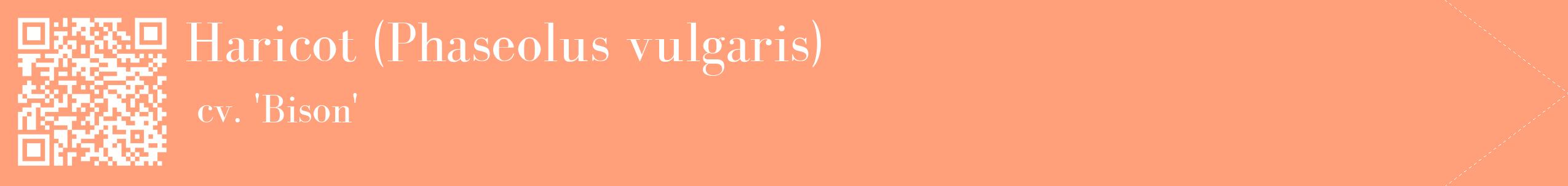 étiquette 2