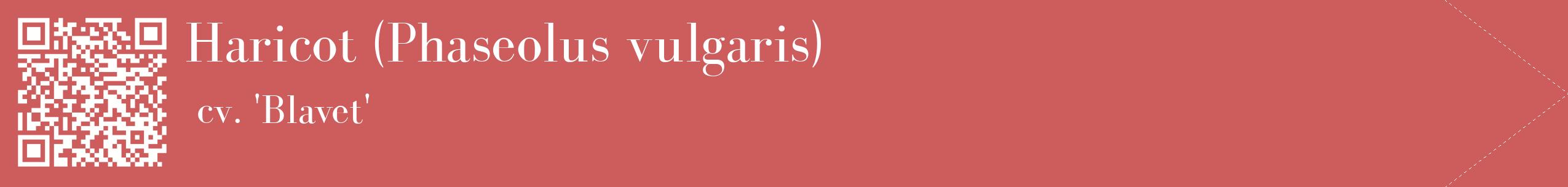 étiquette 2